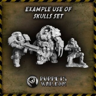 Skulls (5)