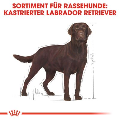 Royal Canin Labrador Retriever Adult Sterilised