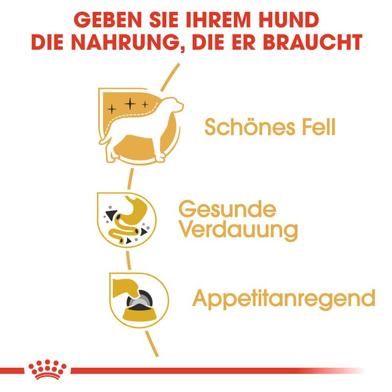 Royal Canin Chihuahua Mousse