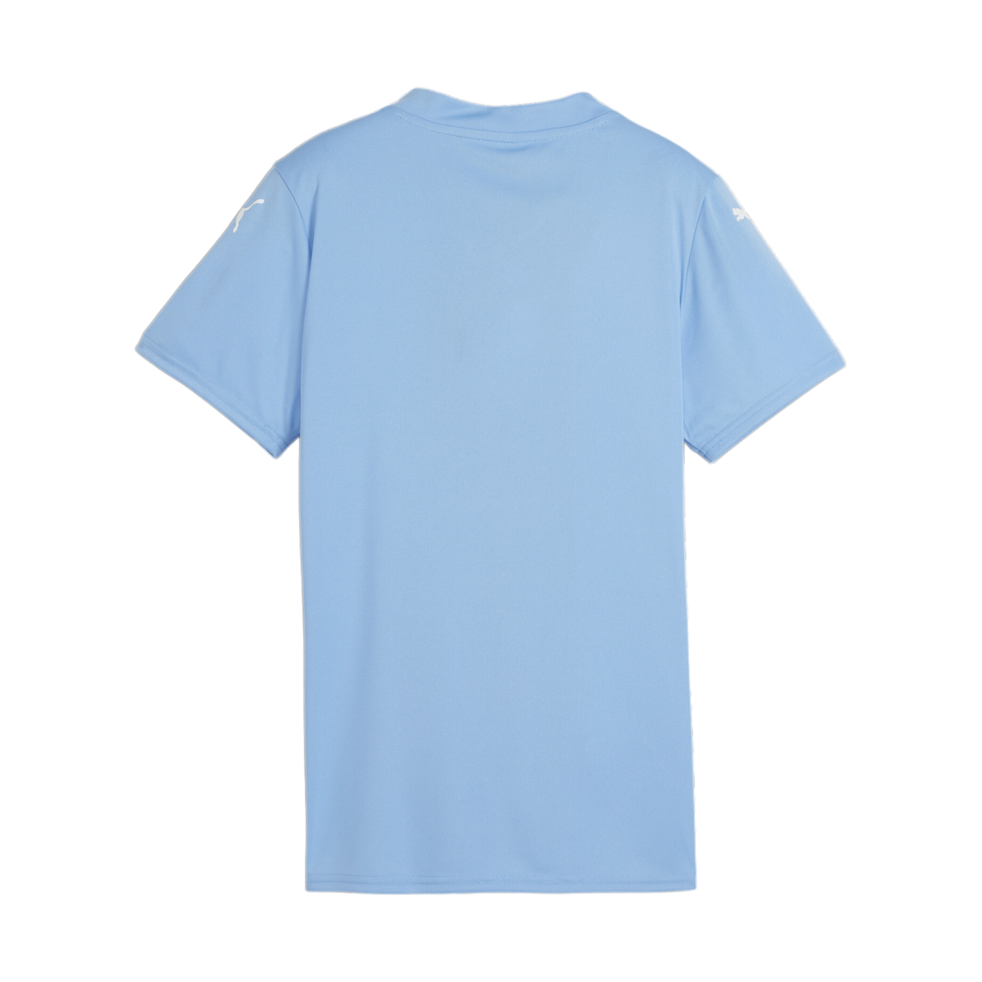 PUMA teamGLORY Trikot Damen Blau Weiss F18