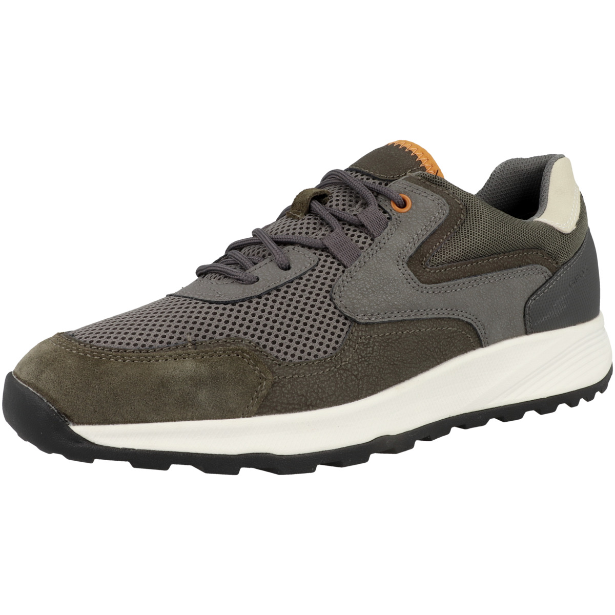 Geox U Terrestre B Sneaker Low grau