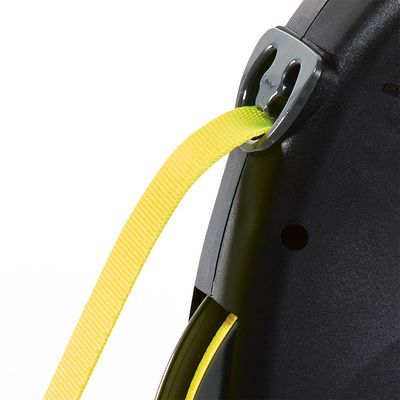 flexi Giant Gurt-Leine M, 8 m