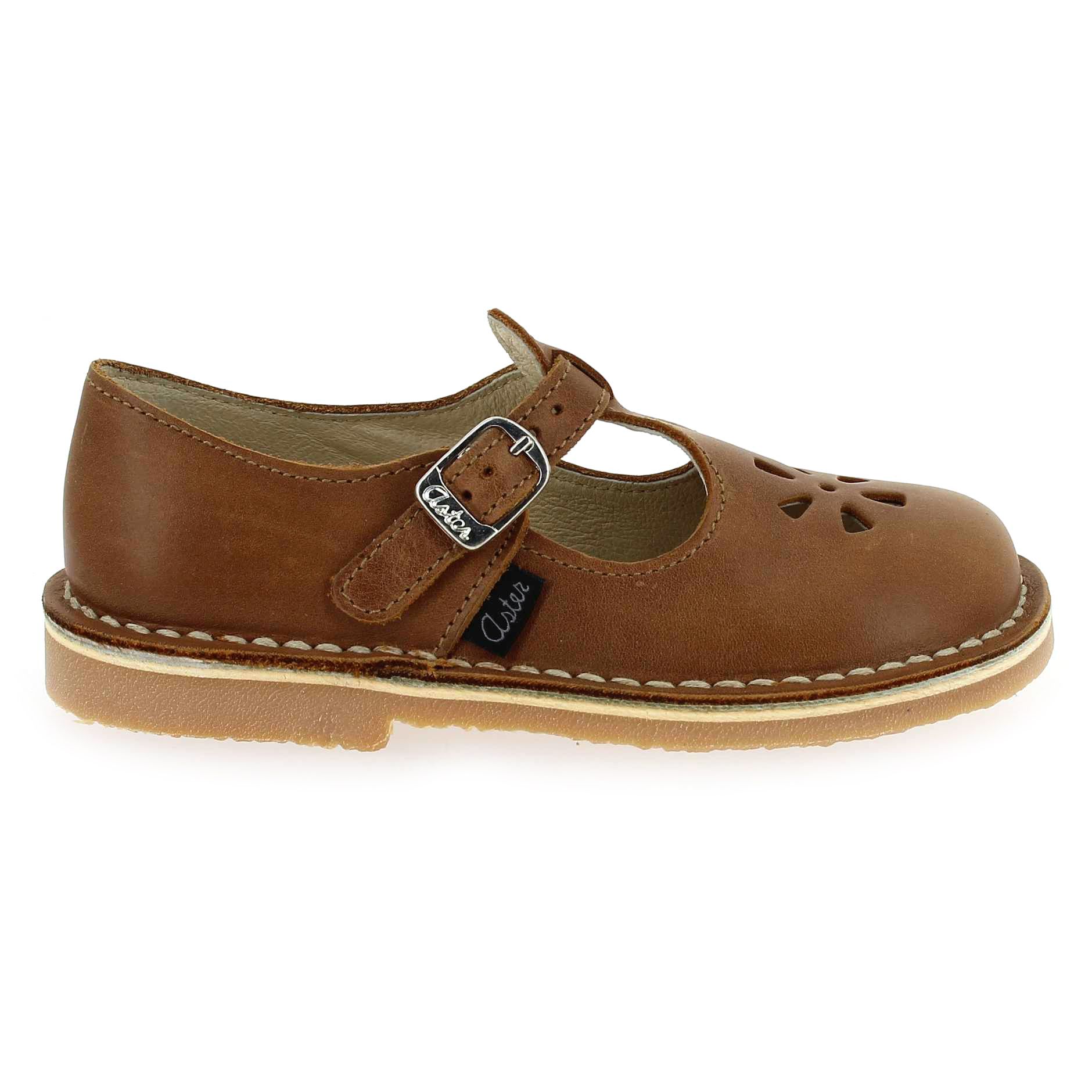 Aster  DINGO - Cognac