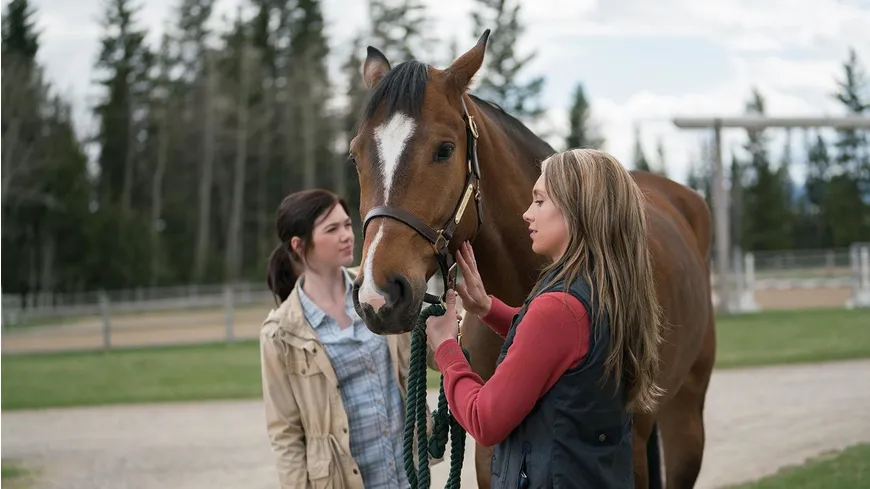 Heartland - Paradies für Pferde, Staffel 11 (Neuauflage)  [6 DVDs]