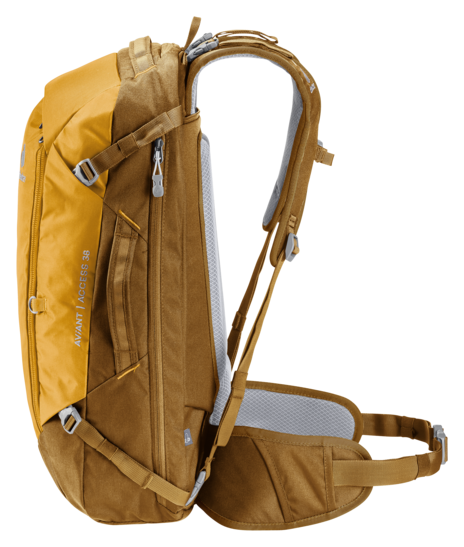 AViANT Access 38