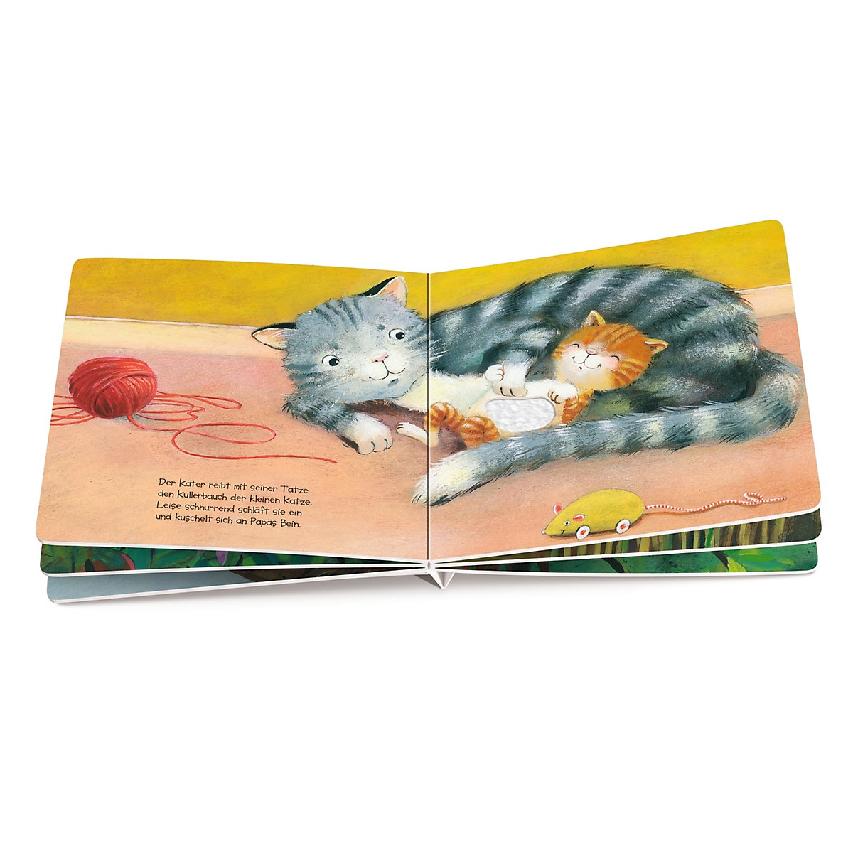 Mein Fühlbuch: Wie kleine Tiere schlafen gehen