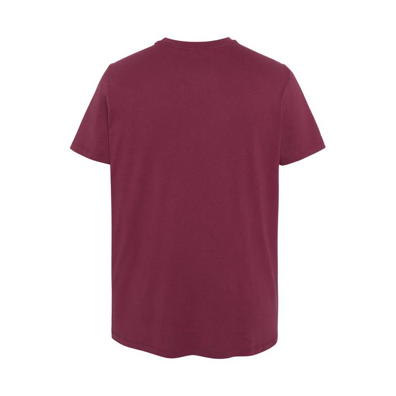 Chiemsee T-Shirt T-Shirt Herren