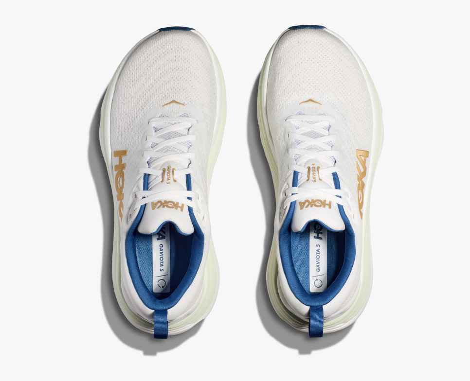 Gaviota 5 Frost / Gold