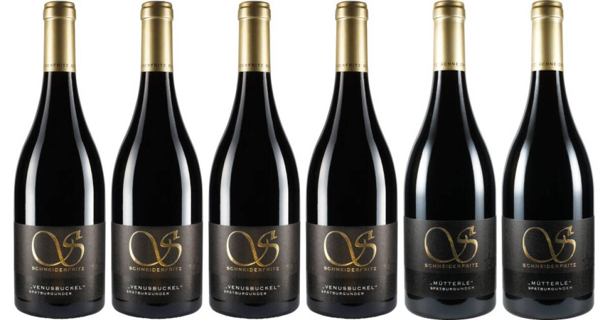 Großes Spätburgunderpaket von Weingut Schneiderfritz günstig bei wein.de kaufen