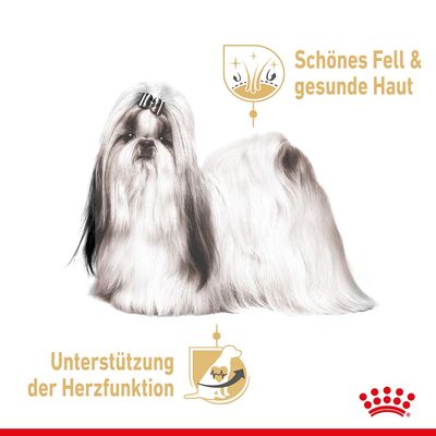Royal Canin Shih Tzu Adult Mousse