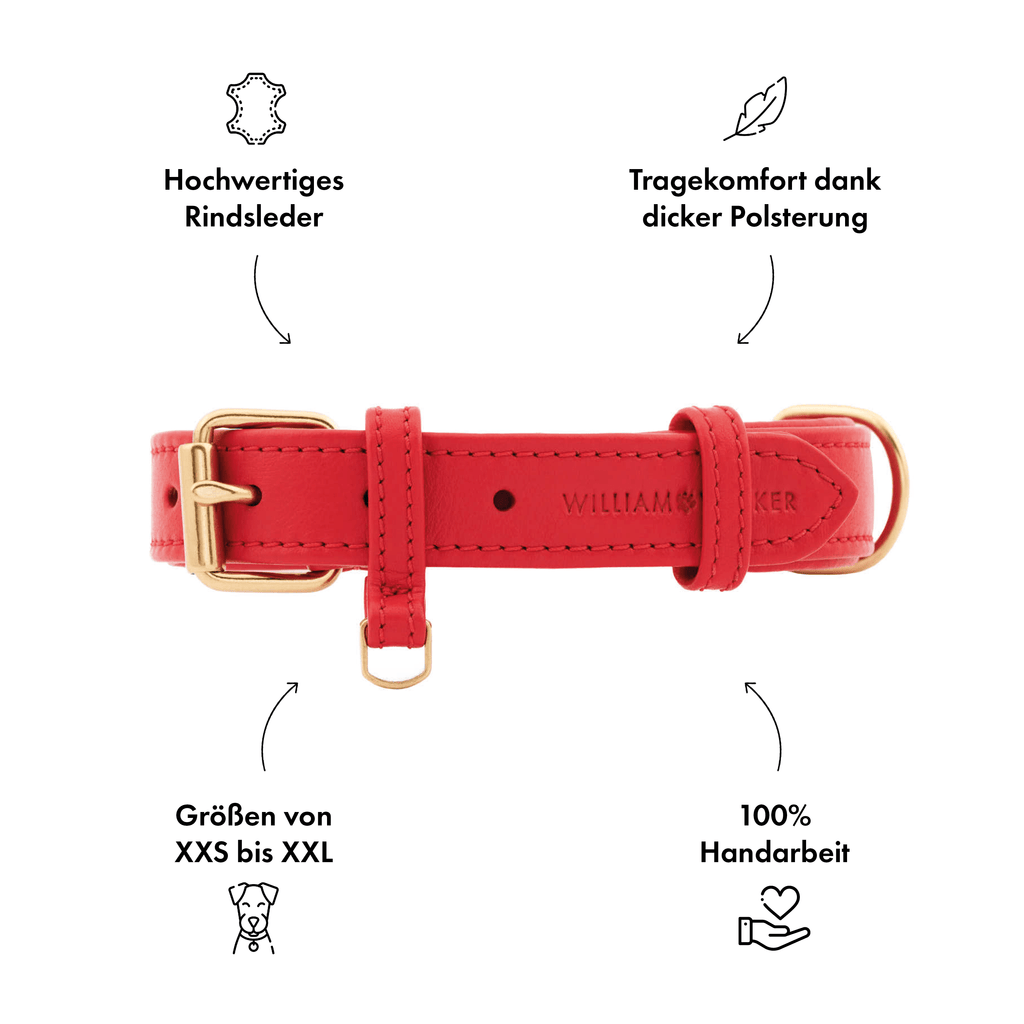 William Walker Hundehalsbänder William Walker Hundehalsband Plain Chili XXS