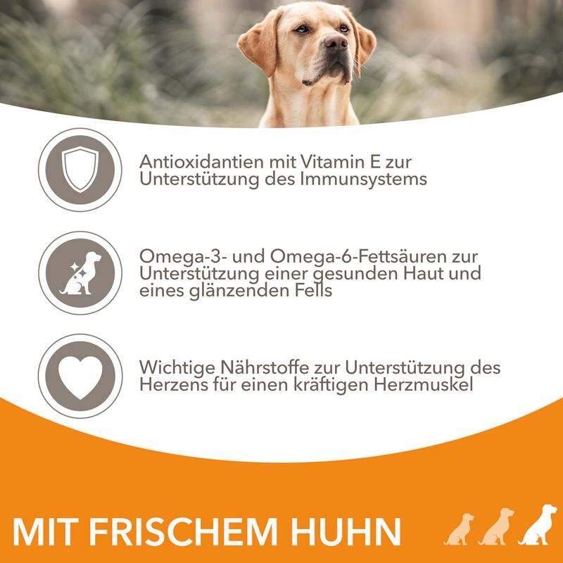 IAMS Advanced Nutrition Adult Large Dog mit Huhn