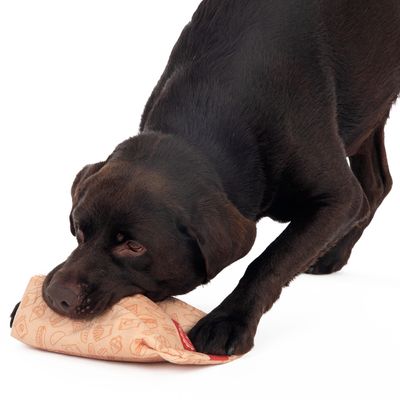 Hundespielzeug Squeaky Burger Menü