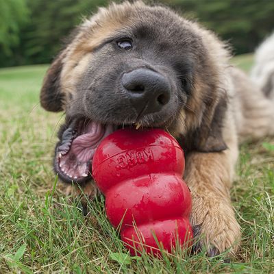 KONG Classic Small