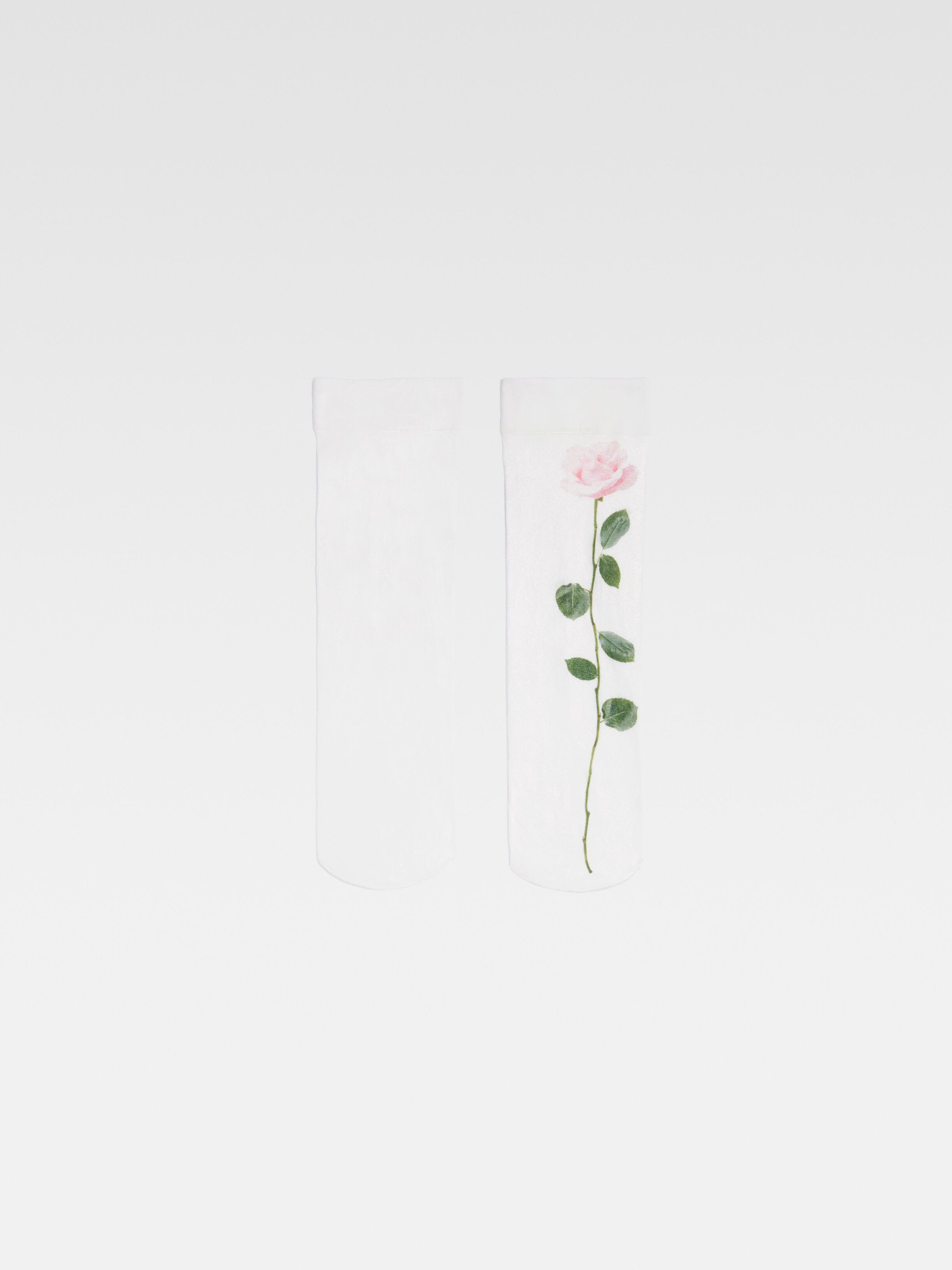 Les chaussettes Rosa