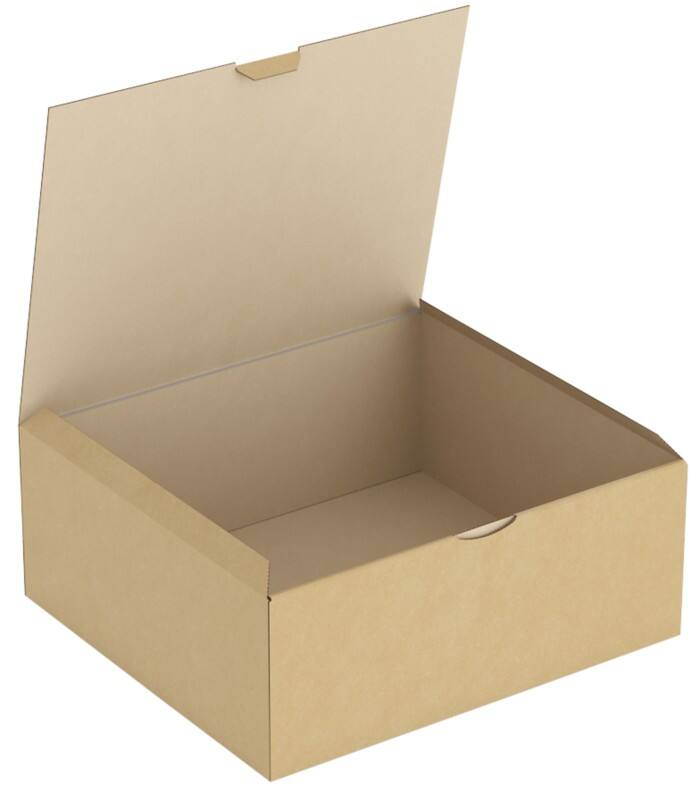 RAJA Versandkarton 1-wellig Pappe 230 (B) x 90 (T) x 344 (H) mm Braun 50 Stück