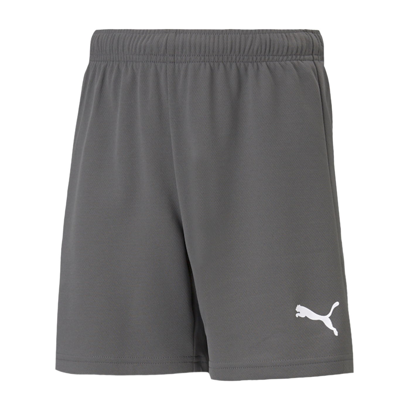 PUMA teamRISE Short Grau Weiss F13