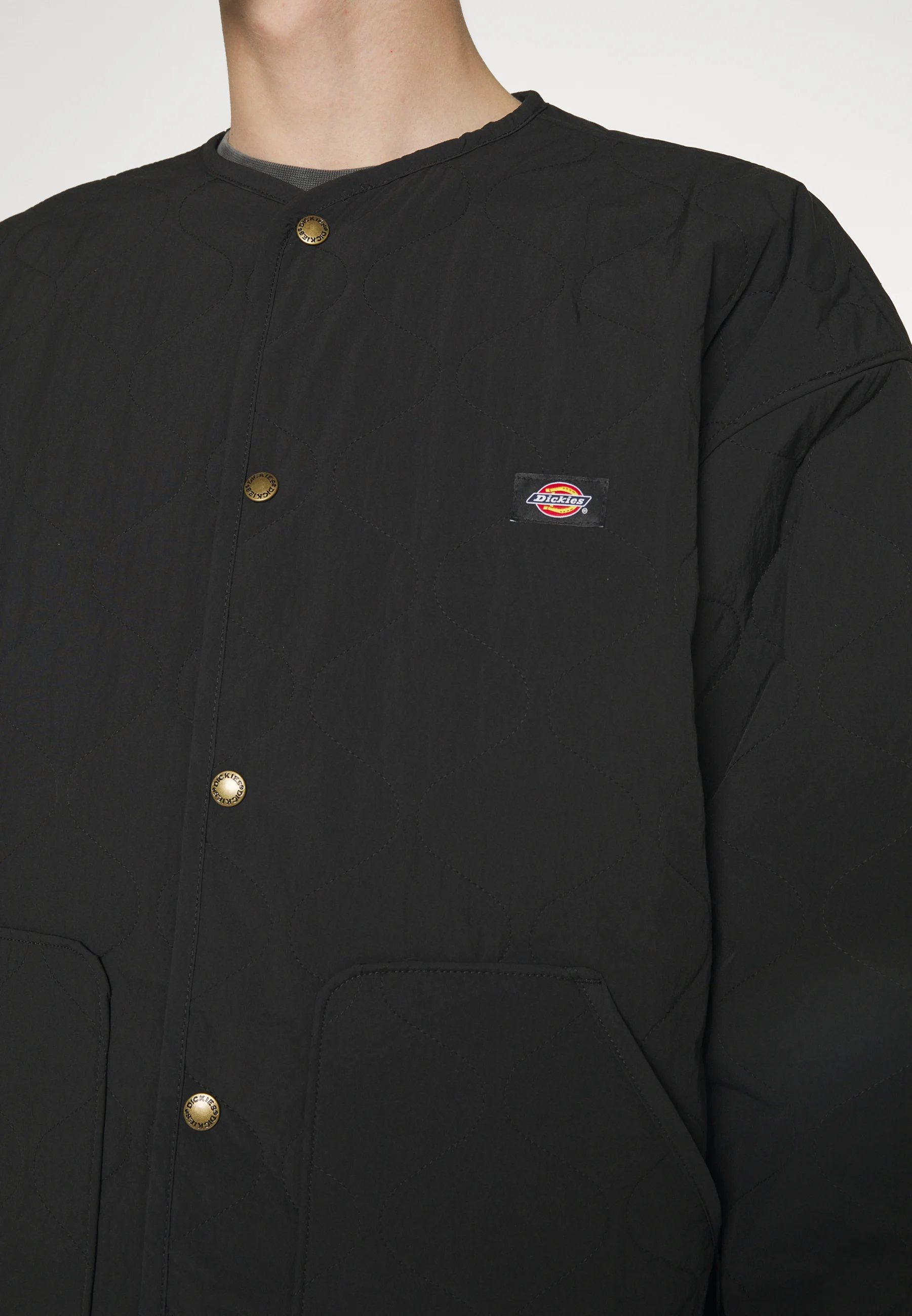 Dickies THORSBY LINER JACKET UNISEX - Chaqueta de entretiempo