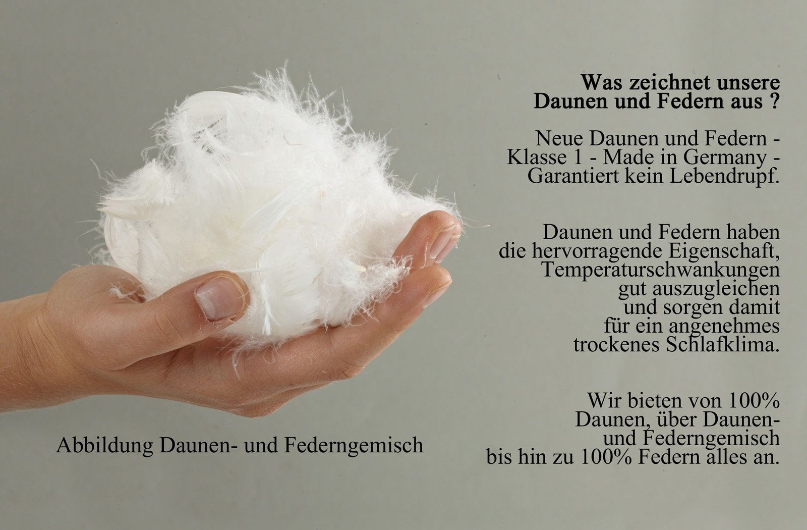 Gänsefederkopfkissen Svenja, franknatur, Füllung: 85% Gänsefedern, 15% Gänsedaunen, Bezug: 100% Baumwolle, Kissen mit Gänsedaunen und -federn, allergikergeeignet