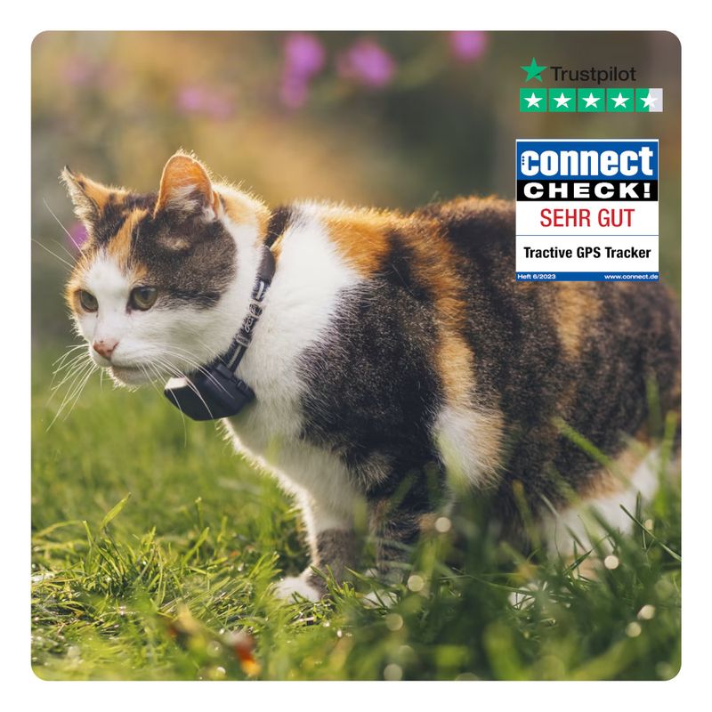 Tractive GPS Tracker für Katzen zu TOP-Preisen