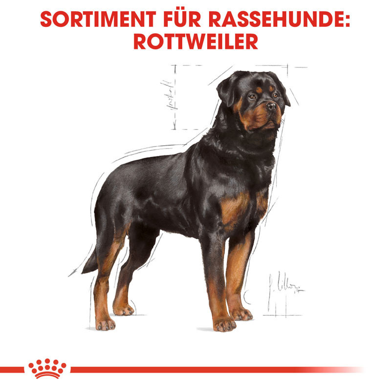 ROYAL CANIN Hundetrockenfutter ROYAL CANIN Rottweiler Adult 12 kg