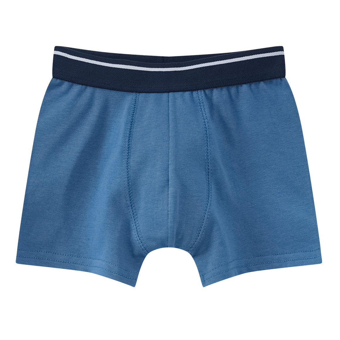 5 Jungen Boxer in verschiedenen Dessins