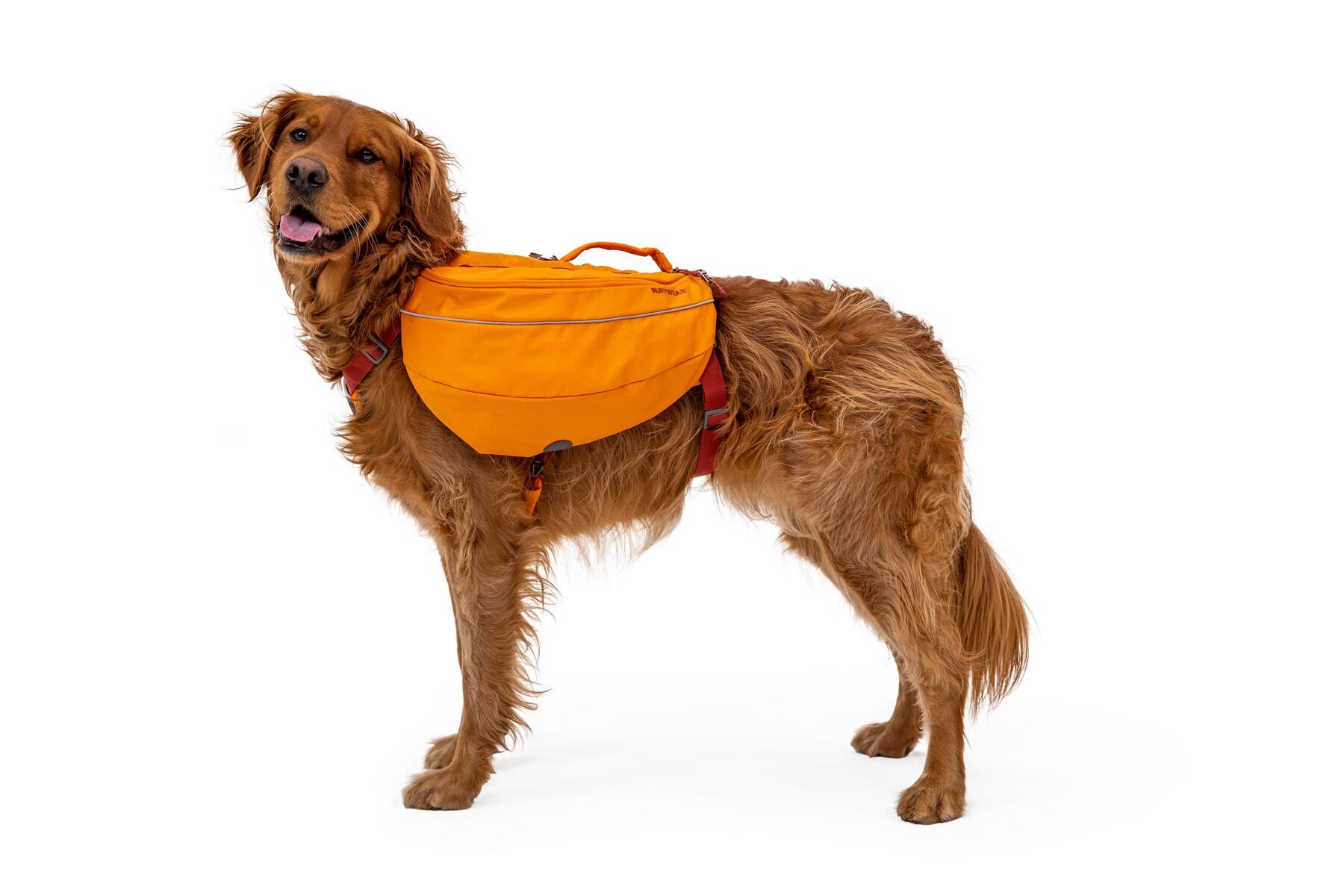 Ruffwear Tragetaschen Ruffwear Approach™ Hunderucksack orange XS