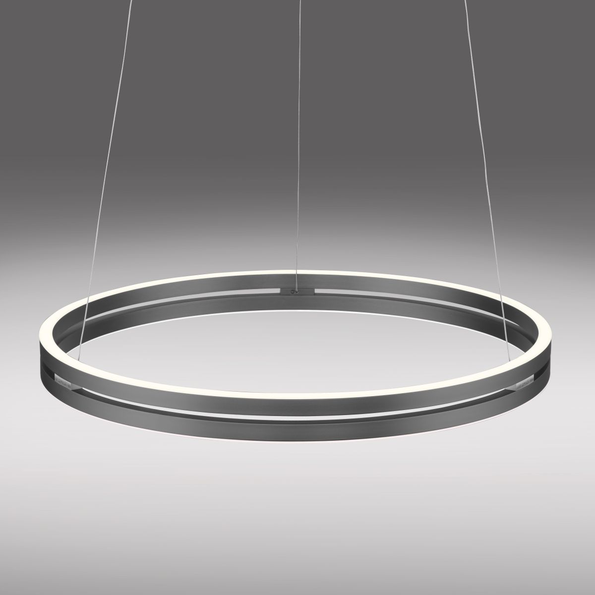 Paul Neuhaus LED Pendelleuchte E-Loop