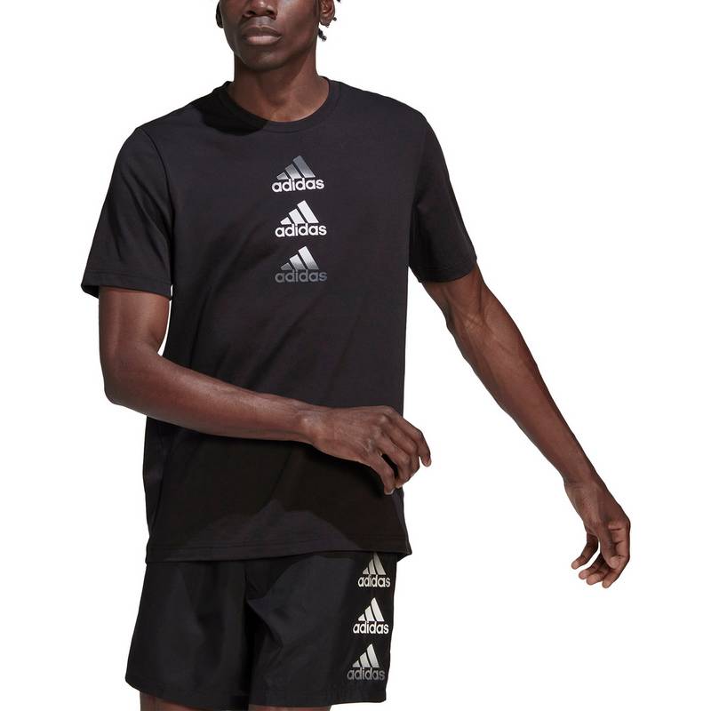 adidas Designed to Move Funktionsshirt Herren