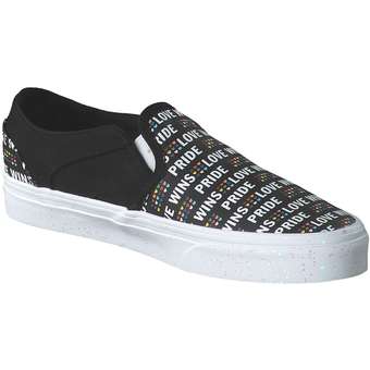 Vans WM Asher Skate Sneaker in schwarz