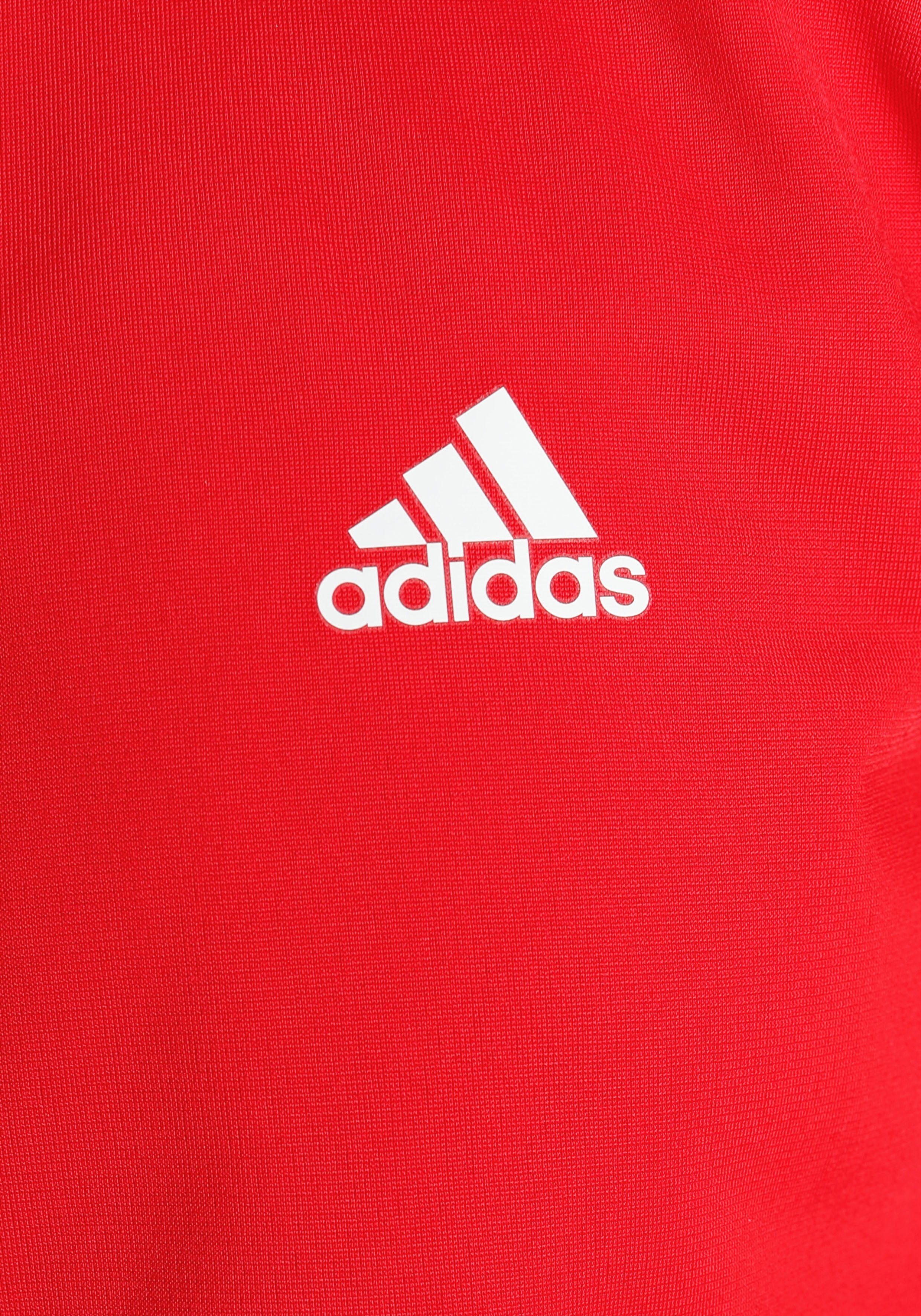 adidas Sportswear Trainingsanzug ESSENTIALS BIG LOGO (2-tlg)