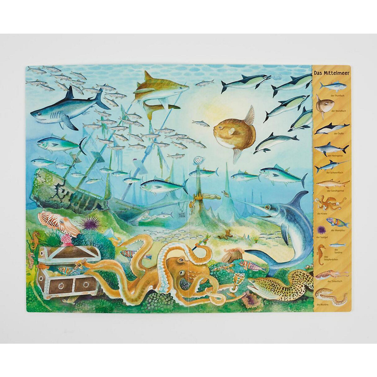 Das Riesen-Meer-Wimmelbuch