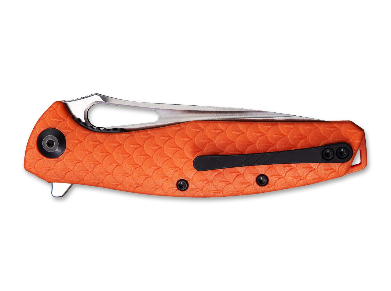 Wyvern Orange