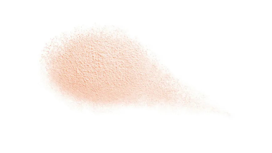 SHISEIDO Future Solution LX Total Radiance Loose Powder 10 g