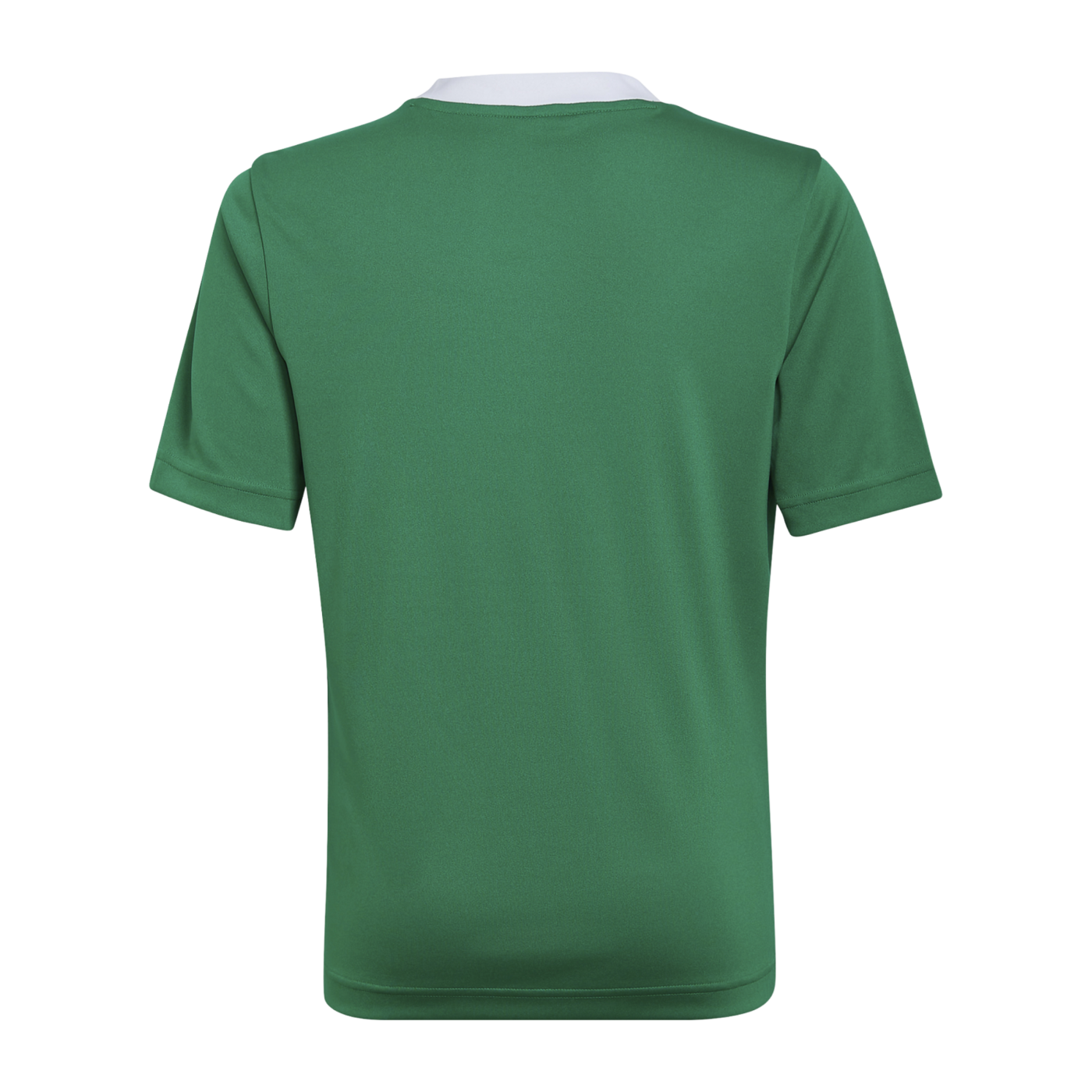 adidas Entrada 22 Trikot Kids Grün