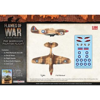 US P-40 Warhawk Fighter Flight