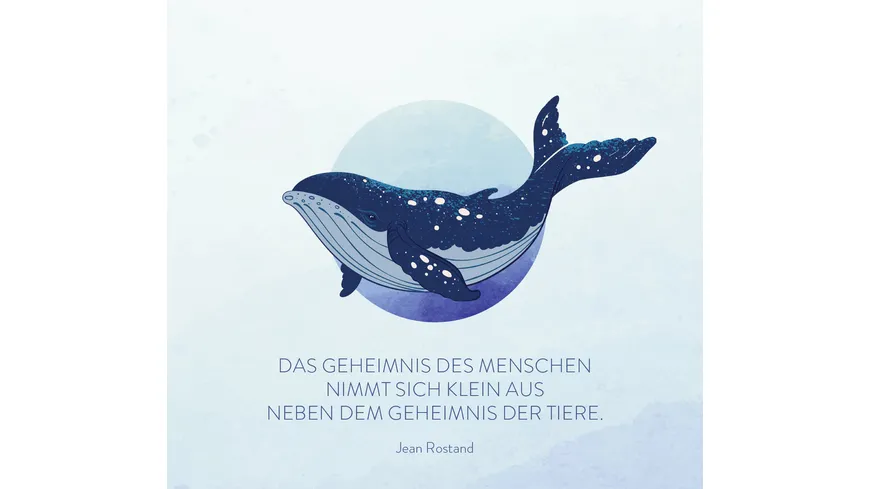 Wundervolles Meer