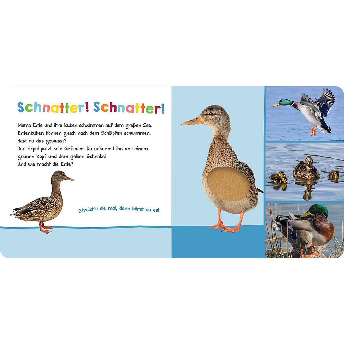 Hör mal rein, wer kann das sein - Am Wasser