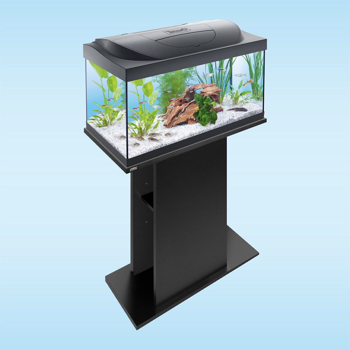 Tetra Starter Line LED Aquarium 54L günstig kaufen
