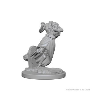 Ghosts: D&D Nolzurs Marvelous Unpainted Minis