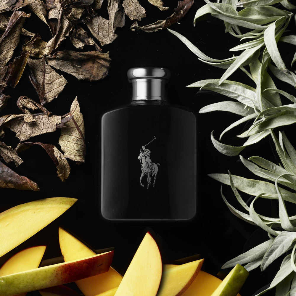Ralph Lauren Polo Black Eau de Toilette