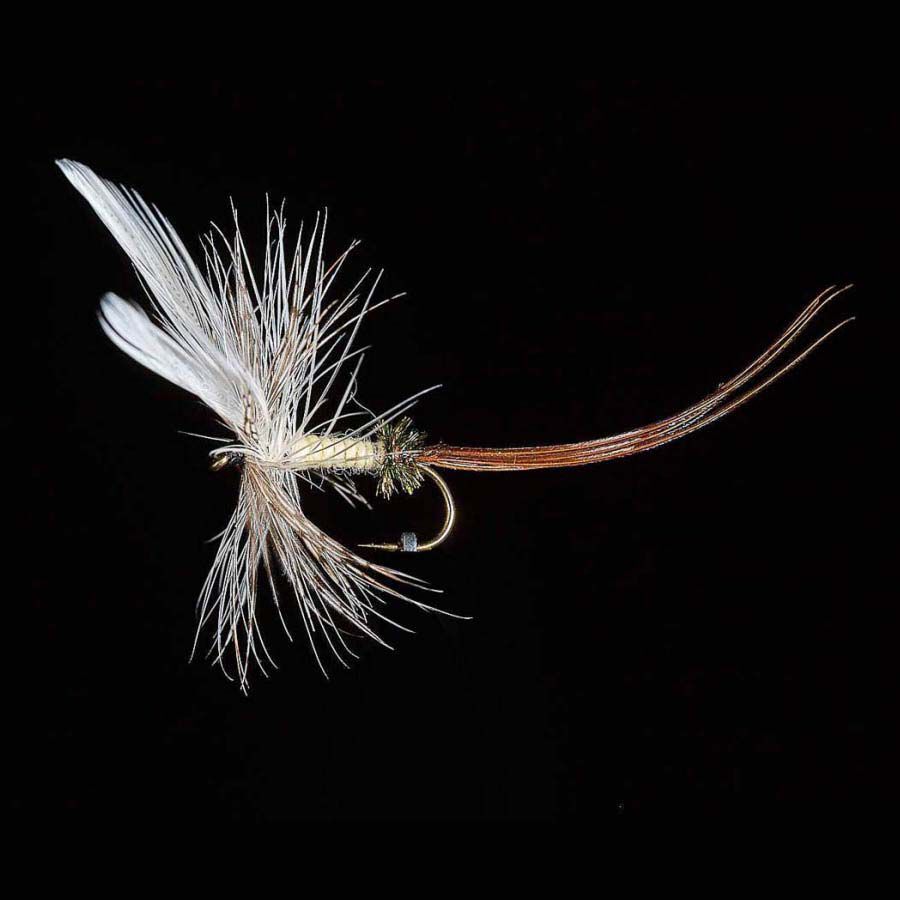 Kan fly P3 H10 (x3)