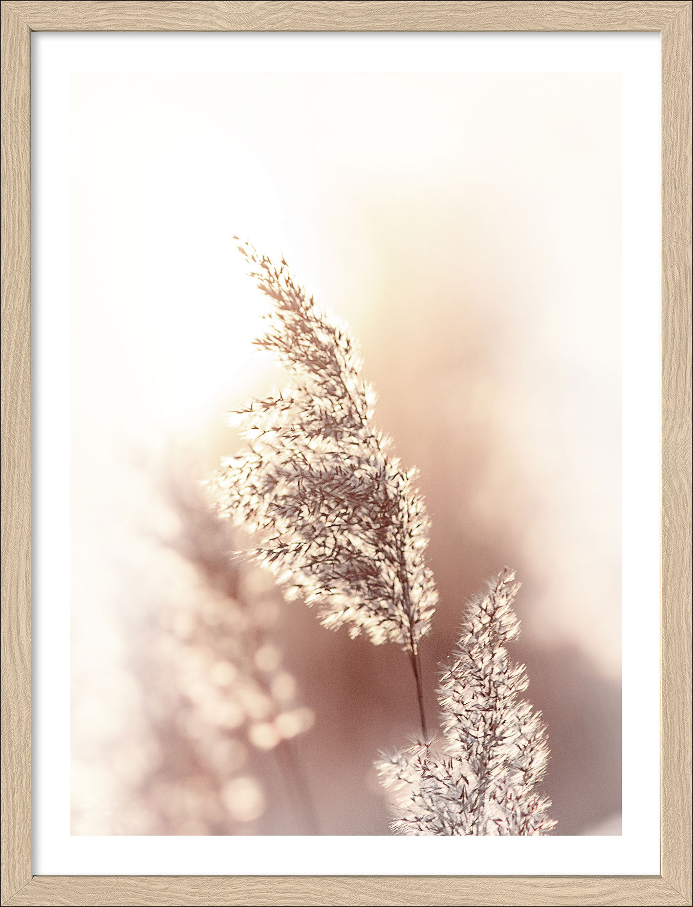 Pro ArtKunstdruck gerahmt 32,5x42,5cm