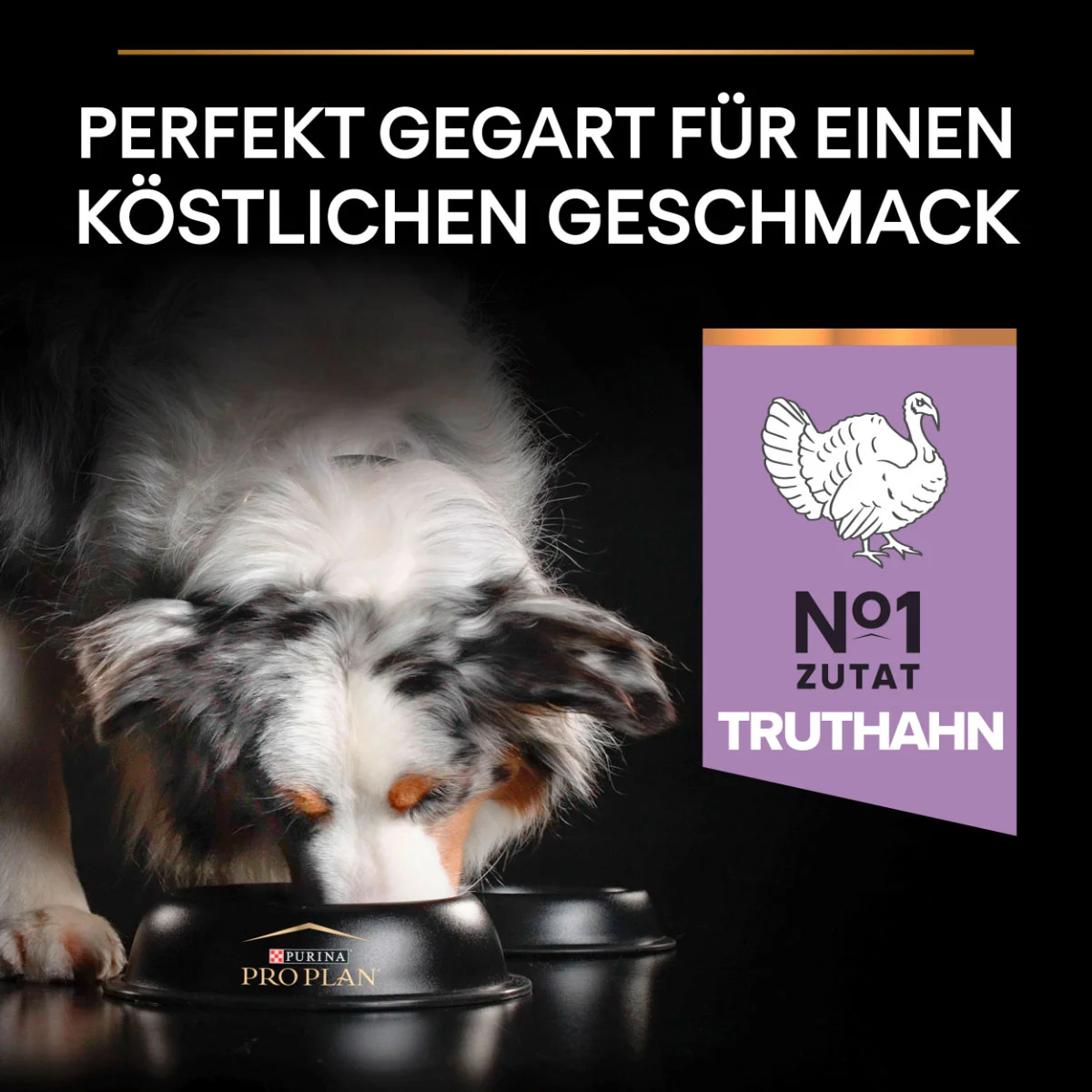 PRO PLAN Getreidefreie Rezeptur Medium & Large Adult Sensitive Digestion Truthahn