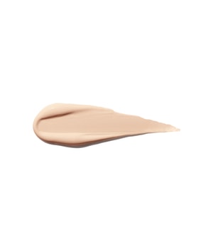 Shiseido Synchro Skin Self-Refreshing Concealer-5.8 ml