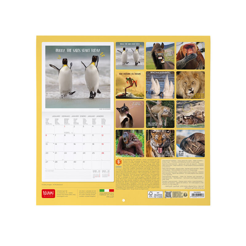 Calendario de pared 2025 - 30 x 29 cm