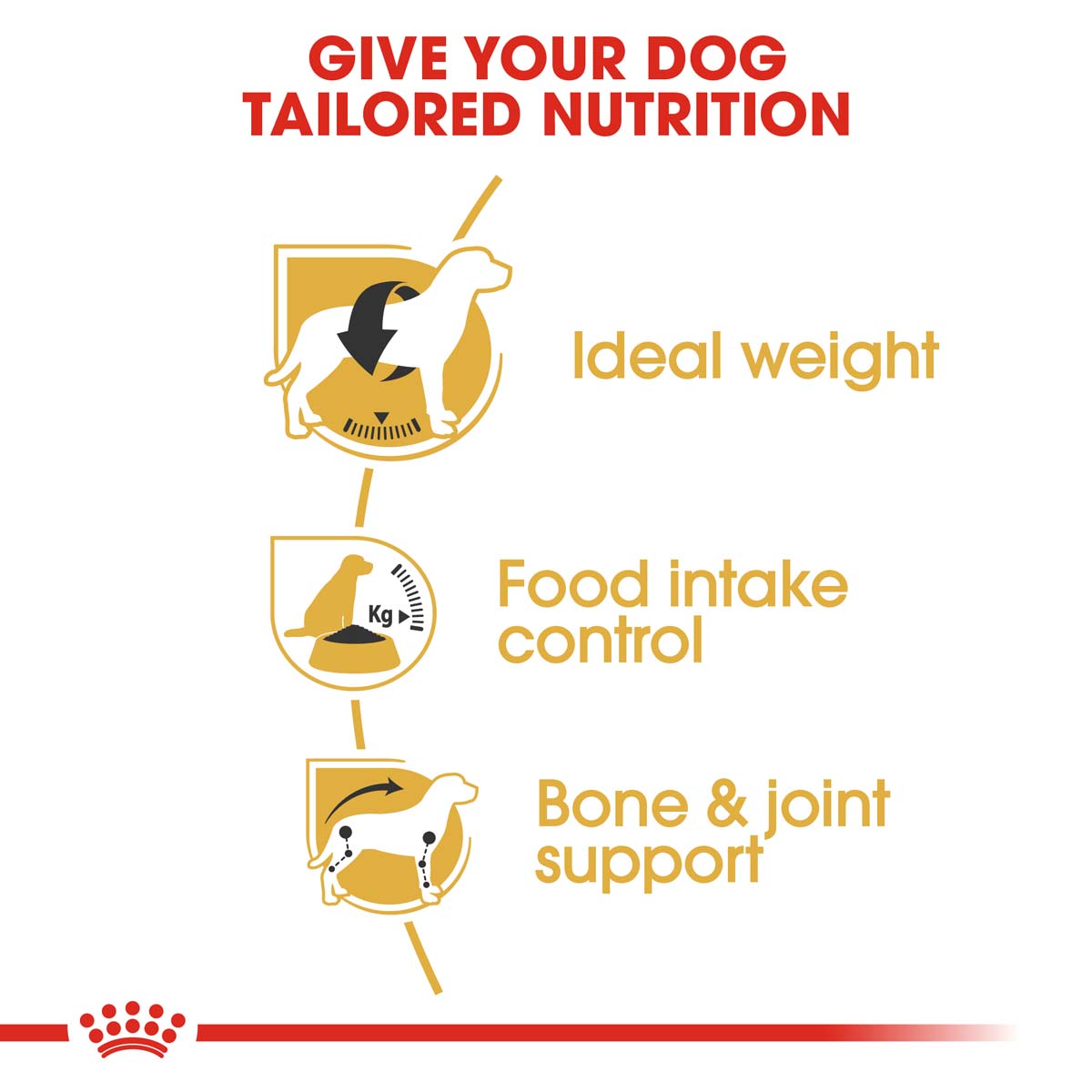 ROYAL CANIN Beagle Adult Hundefutter trocken kaufen bei ZooRoyal
