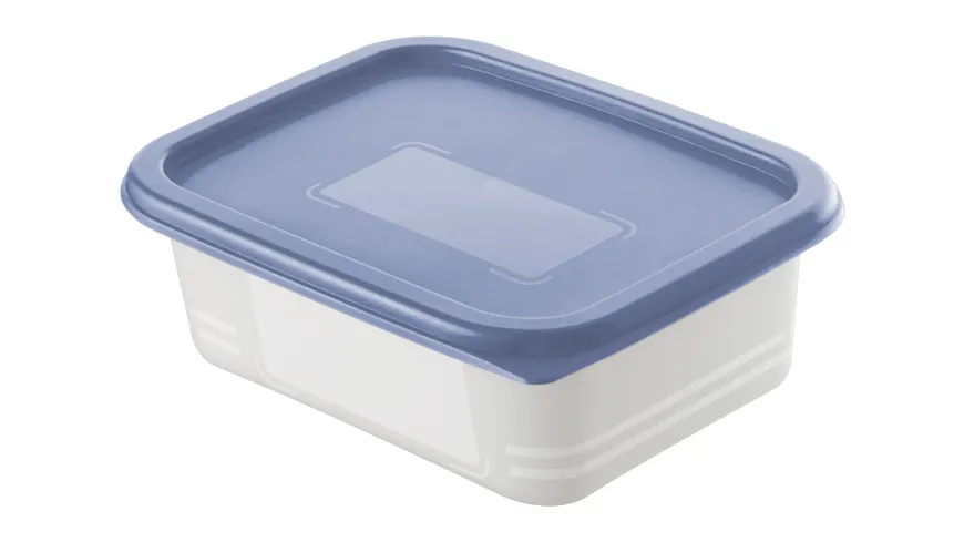 rotho Gefrierdosen Set DOMINO 4-tlg. 0,5l horizon blue