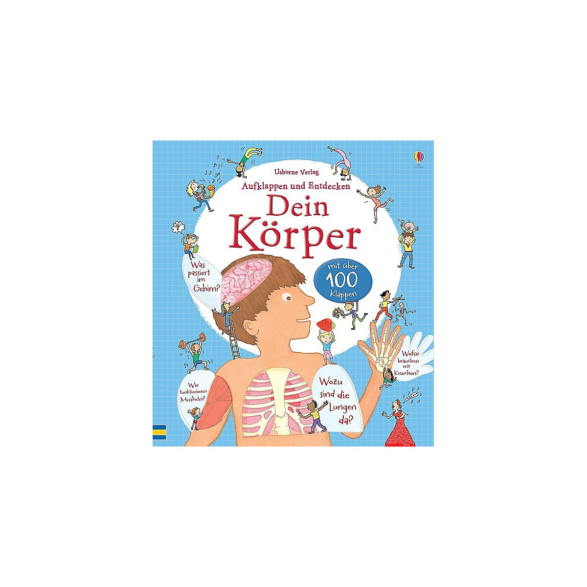 Dein Körper