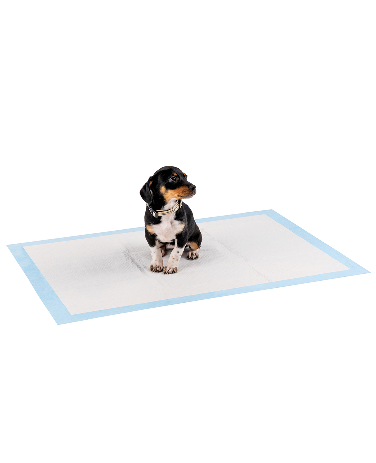 Lionto Windeln & Hygiene Lionto Welpenunterlage 6-lagig 50 L